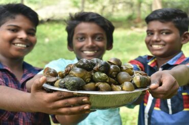 Snail Recipe | Snail Fry | Naththai varuval | Village Healthy Food | Potluck Recipe