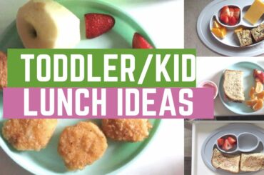 Toddler/Kid Lunch Ideas | What My Kids Eat For Lunch!