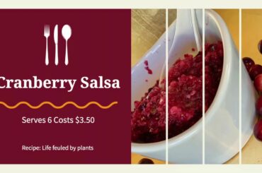 Healthy cranberry sauce recipe. Cranberry salsa. And the power of the cranberry.
