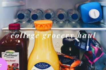 mini college grocery haul 2019⭐🛒| easy & healthy snacks+breakfast ideas for a dorm