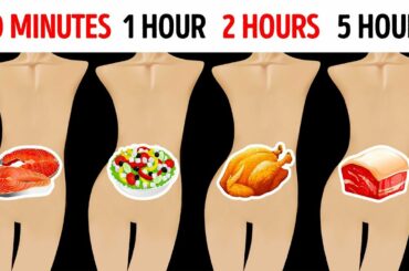 How Long Foods Stay In Your Stomach
