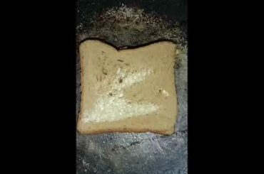 Kids spcl: healthy vegetable sandwich and vegetable roll...