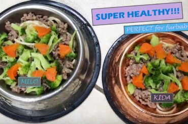 SIMPLE HEALTHY HOMEMADE DOG FOOD RECIPE | FIRST DOG HAIRCUT