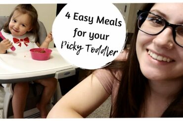 4 Meal Ideas for Picky Toddlers | Picky Toddler Meals | That One Mom | Vicctoria
