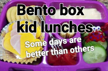 Week 13 | School lunch Bento box style | Bentgo kids lunch box