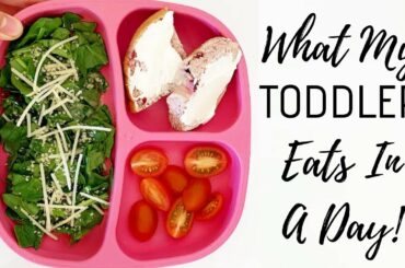 WHAT MY 2 YEAR OLD EATS IN A DAY! | EASY AND HEALTHY TODDLER MEALS