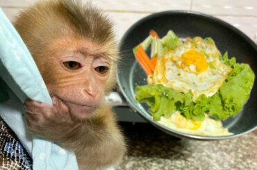 Mom Cook Breakfast For Monkey Baby Bono | Healthy Food
