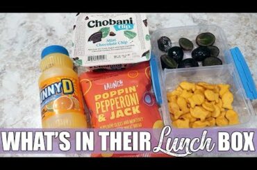 What's In Their Lunch Box | Bento Lunch Box Ideas | November 2019
