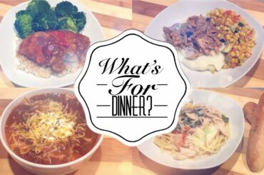 WHAT’S FOR DINNER | QUICK AND EASY WEEKNIGHT MEALS | DUMP AND GO SLOW COOKER