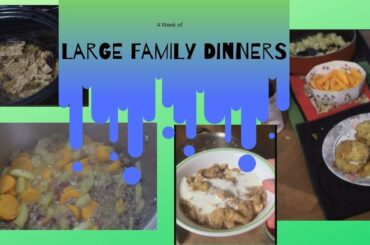 What's For Dinner? | A Week of Large Family Dinners
