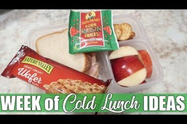 What My Husband Took for Lunch | Cold Lunch Ideas for On the Go