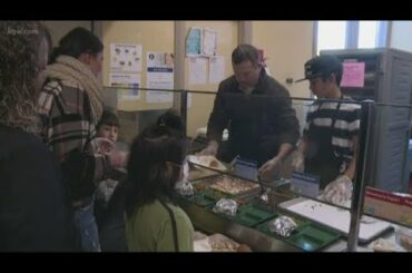 Celebrating Thanksgiving with a farm to school meal