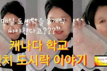 캐나다 아줌마 아침마다 8개 도시락 싸기,Kids Lunch And Snack Ideas