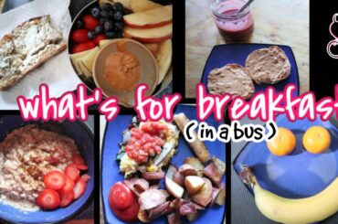 What I Eat in my SKOOLIE! | 5 Healthy Breakfast Ideas | Syn Cty x Bus Life