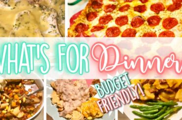 WHAT’S FOR DINNER? BUDGET FRIENDLY USING THANKSGIVING SALE ITEMS! *5* RECIPES!