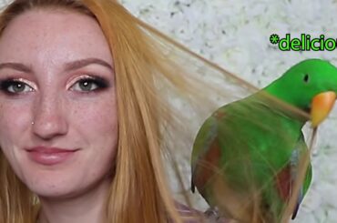 #I SPENT $600 AT WISH!!! HUGE WISH CLOTHING HAUL & TRY ON (2019)