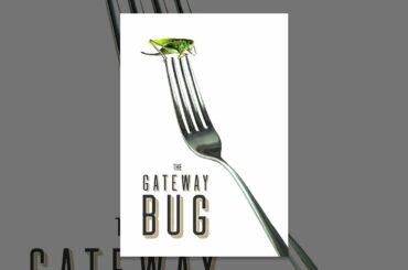 The Gateway Bug