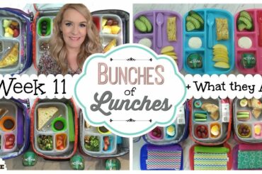 School Lunch Ideas for KIDS + What They Ate | JK, K, 1st grade, 2nd Grade | BUNCHES of LUNCHES
