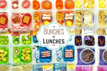 Colorful School Lunch Ideas for KIDS + What They Ate | K, 1st grade, 2nd Grade | BUNCHES of LUNCHES
