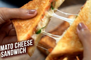 Melted Cheese Tomato Sandwich | Easy Cheese Tomato Toast Sandwich Recipe | Tomato Cheese Sandwich