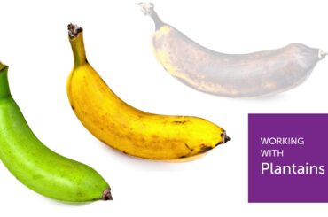 Maximize space in your kitchen and cook an entire meal with Healthy Cook Solutions by Princess House