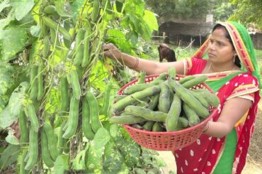 घरेलू कौंच की मसालेदार तरकारी जो आपको पता भी नहीं होगा HEALTHY FOOD of Mucuna Pruriens Recipe