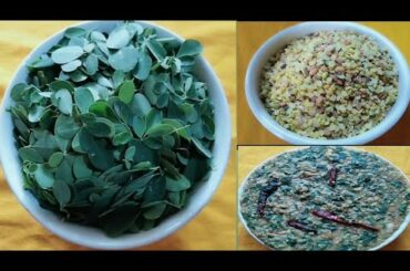 Healthy Food Drumstick Leaves Recipe | Odia Authentic Sajana Saga Recipe