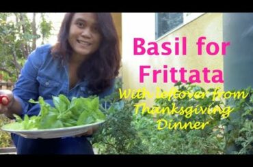 Garden Basil Harvest for Frittata | Leftover Thanksgiving Dinner Recipe | Gardening in Los Angeles
