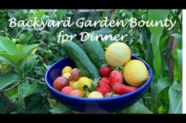 Backyard Garden Summer Harvest for Dinner | Garden Tour | Garden to Table | Salad | Los Angeles