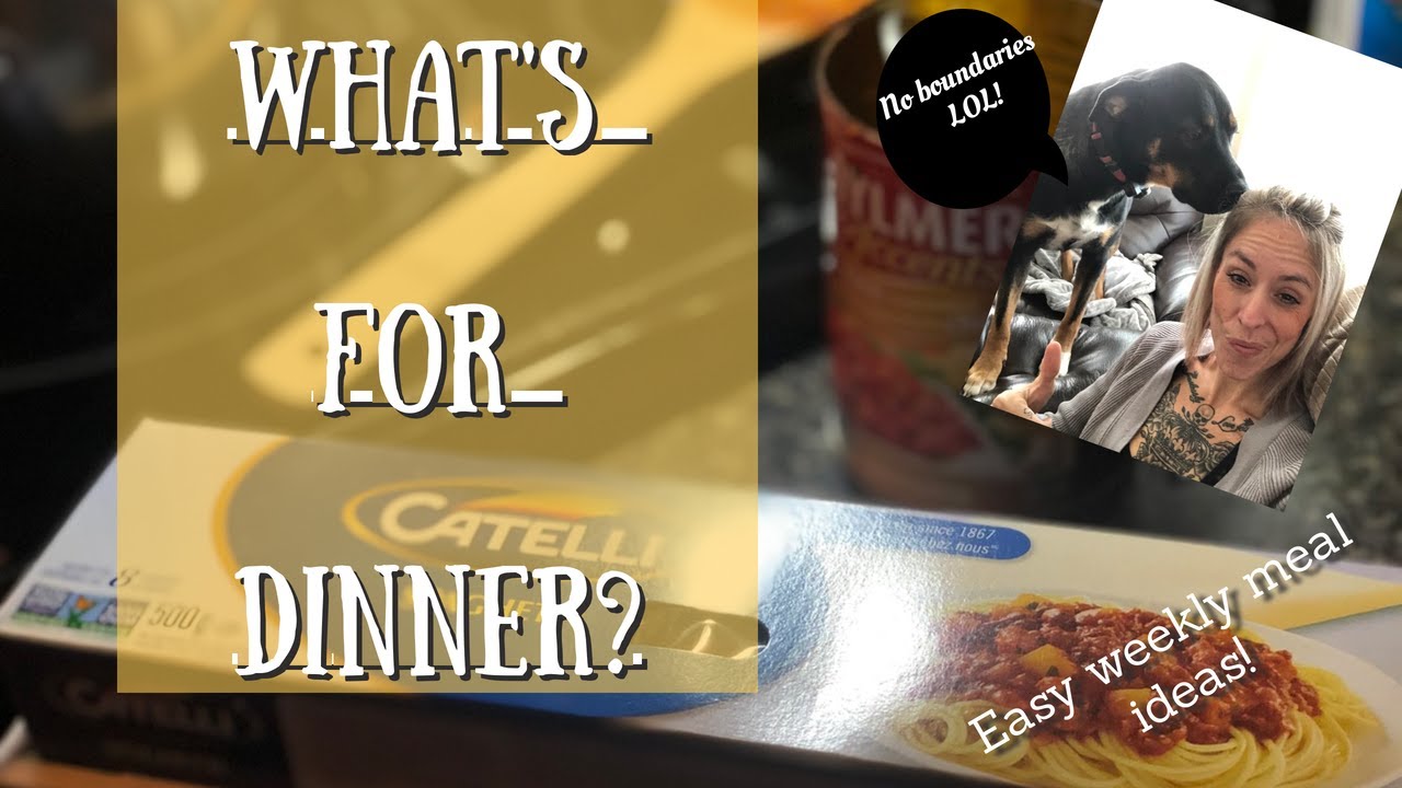 What's For Dinner | Weekly Meal Ideas | Quick and Easy Dinners | Vanessa White Random-Ness What's For Dinner | Weekly Meal Ideas | Quick and Easy Dinners | Vanessa White Random-Ness