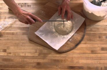 Gluten-Free Bread in Five Minutes a Day: The Video, 2015