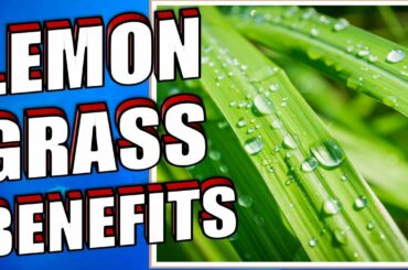 13 Health Benefits of Lemongrass YOU NEED TO KNOW