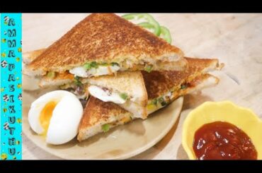 MAYONNAISE EGG SANDWICH/SIMPLE EGG BREAKFAST/SNACK RECIPE/முட்டை மயனீஸ் சாண்ட்விட்ச்🥪🥪