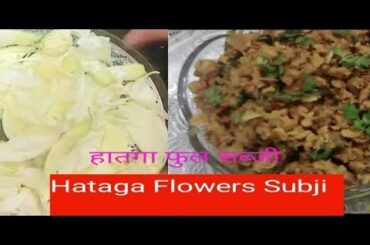 Hataga Flower Sabji/हातगा फुल सब्जी #Leena's kitchen#Leena Falak Healthy Recipes ecipes