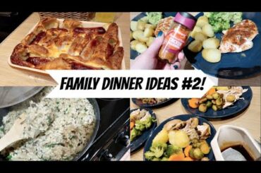FAMILY DINNER IDEAS! || #2