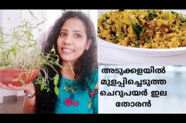 Microgreens stir fry| ചെറു പയർ ഇല തോരൻ|Healthy Recipe|Remya's Cuisine World🔥