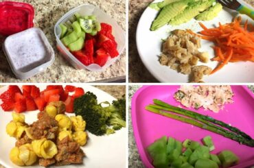 HEALTHY TODDLER MEAL IDEAS / 11 Month Old Baby Food Recipes