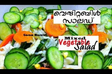 Healthy Mixed Vegetable Salad വെജിറ്റബിൾ സാലഡ്