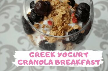 Greek Yogurt Honey Granola Breakfast | 403 calories