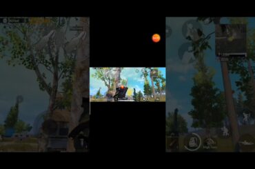 My highest kill but not chicken dinner for a snake