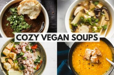 Cozy Vegan Soup Recipes ▸▹ Easy & Healthy 🍲