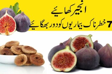 Anjeer - 7 Amazing Healthy Benefits of Anjeer - Miracles of Anjeer