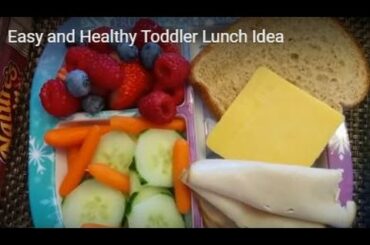 Easy and Healthy Toddler Lunch Idea