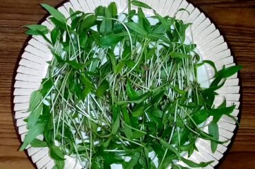 Home made Salad !!! Healthy,  Tasty !! വീട്ടിലുണ്ടാക്കിയ സലാഡ്  !!