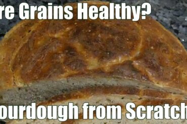 Are Grains Healthy? Sourdough Bread from Scratch with Starter