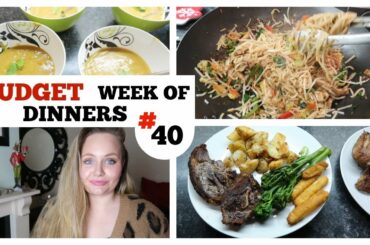 EASY WEEK OF FAMILY MEAL IDEAS / #40 / WHAT'S FOR DINNER , Frugal cooking on a budget