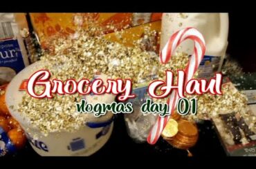 Walmart Grocery Hau & ALDI Haull | Weekly Grocery | Budget Meal Planning for Families