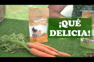 NATURALISS: NUEVOS SNACKS FUNCIONALES Y DELICIOSOS