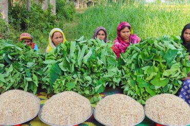 Too Tiny Shrimp Mixed Taro Leaves Mashed Recipe - Tasty & Healthy Village Food Cooking By Women