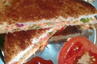 Simple & quick snack//veg sandwich recipe//